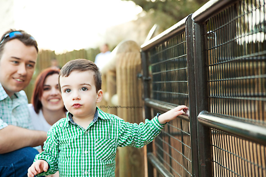 adorable toddler boy next to fence at petting zoo