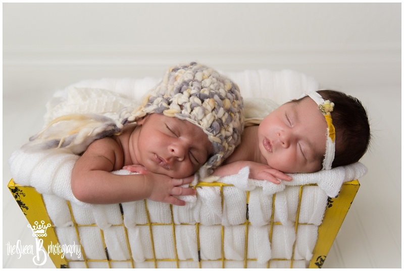 newborn twins in yellow basket at Houston Newborn Photographer studio