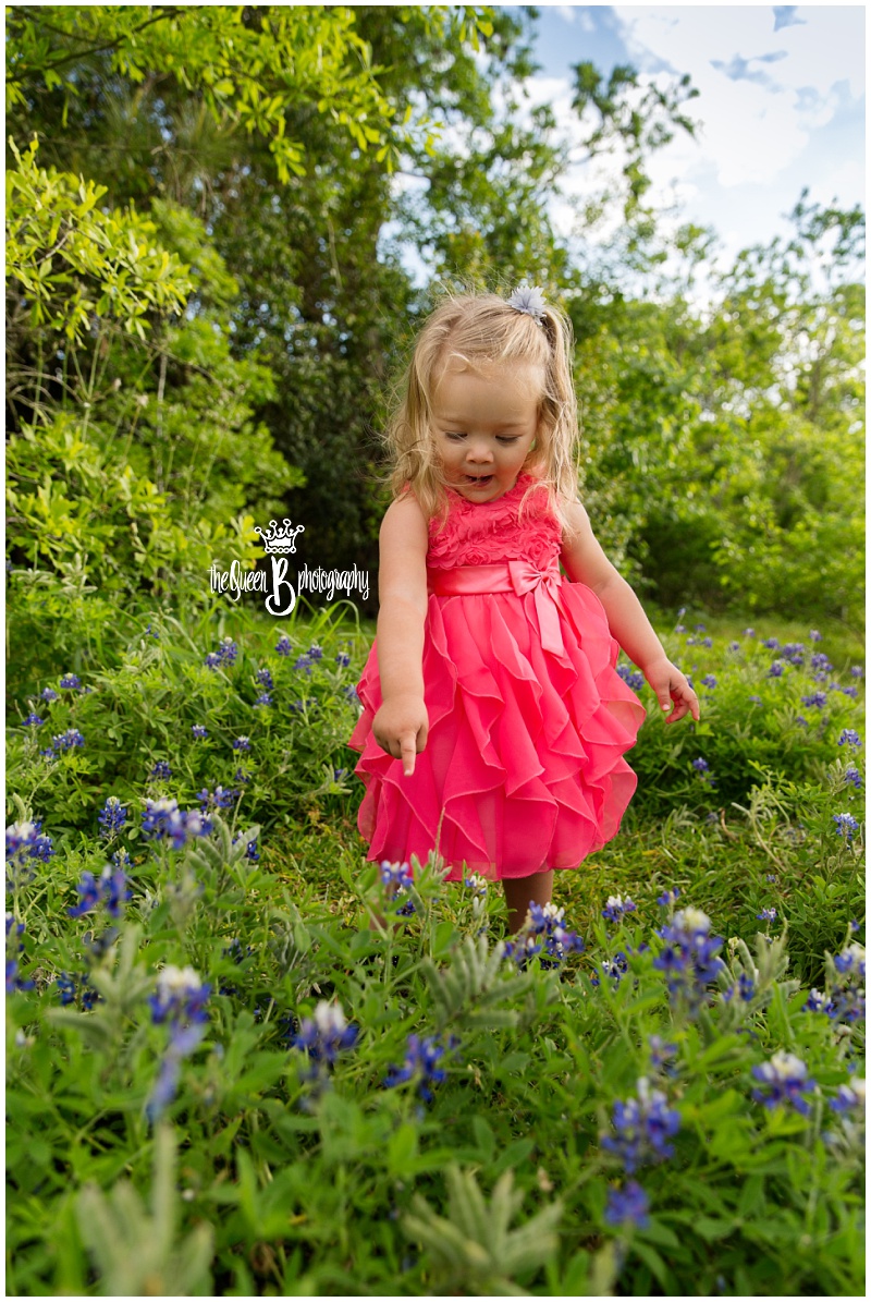 toddler girl in coral dress amazed at texas bluebonnets