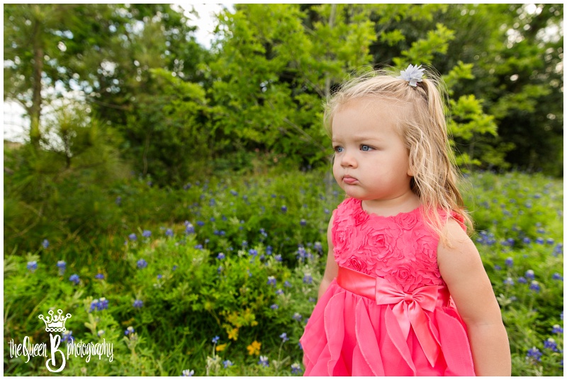 Houston Baby Photographer captures chubby cheek toddler girl in texas bluebonnets