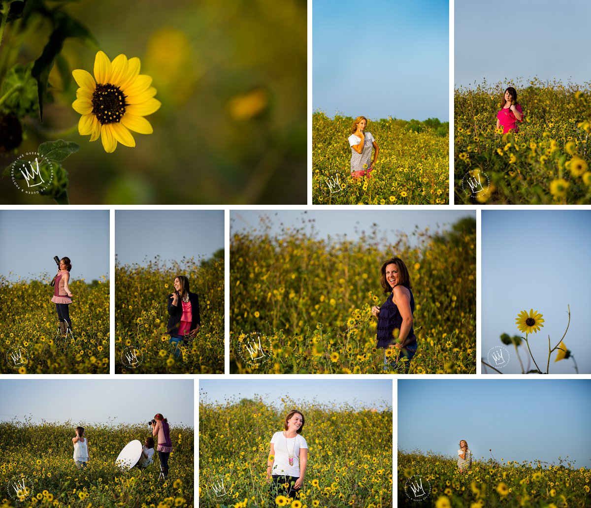 Unique Headshots in Sunflower Field 