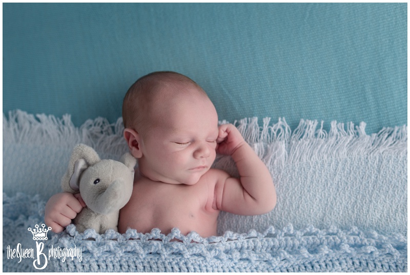 newborn baby boy sleeping tucked in with stuffed elephant